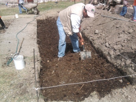 Aplicación de abono (1ra capa)